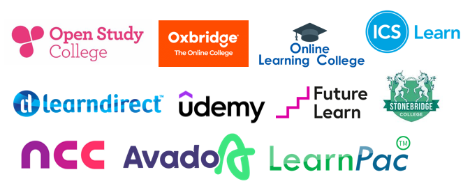 Online Learning LOGOS