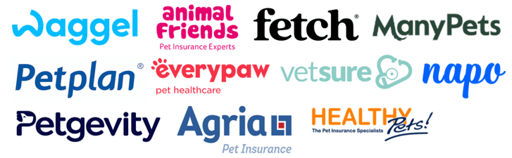 Pet Insurance - LOGOS-3