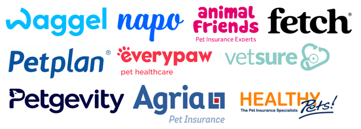 Pet Insurance - LOGOS-4