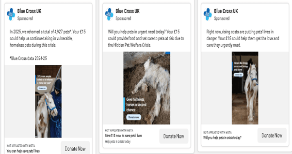 Veterinary Practice - Faccebook