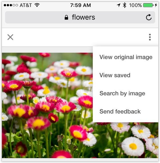 Google Mobile Image Search 