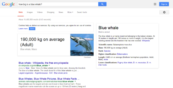 Google's answer box for the query 'how big is a blue whale?'.