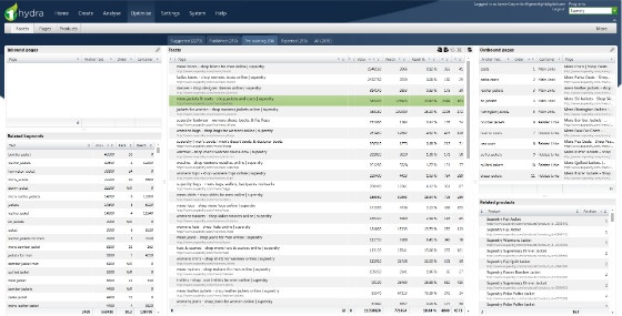 OneHydra Optimise report