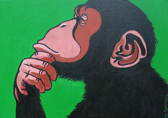 A thoughtful monkey.