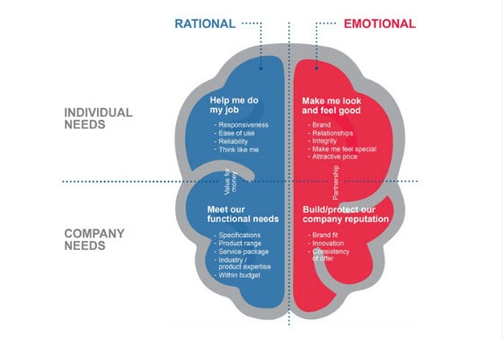 emotional and rational sides of brain