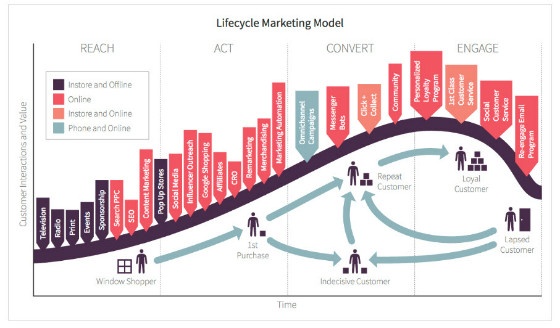 lifecycle graphic