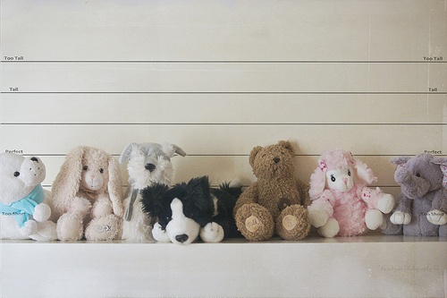 The suspects... as cuddly toys.