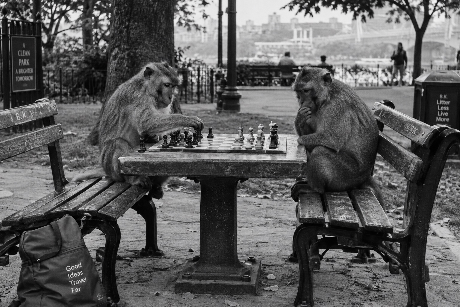 Two macaques playing chess at a stone table in a riverside park