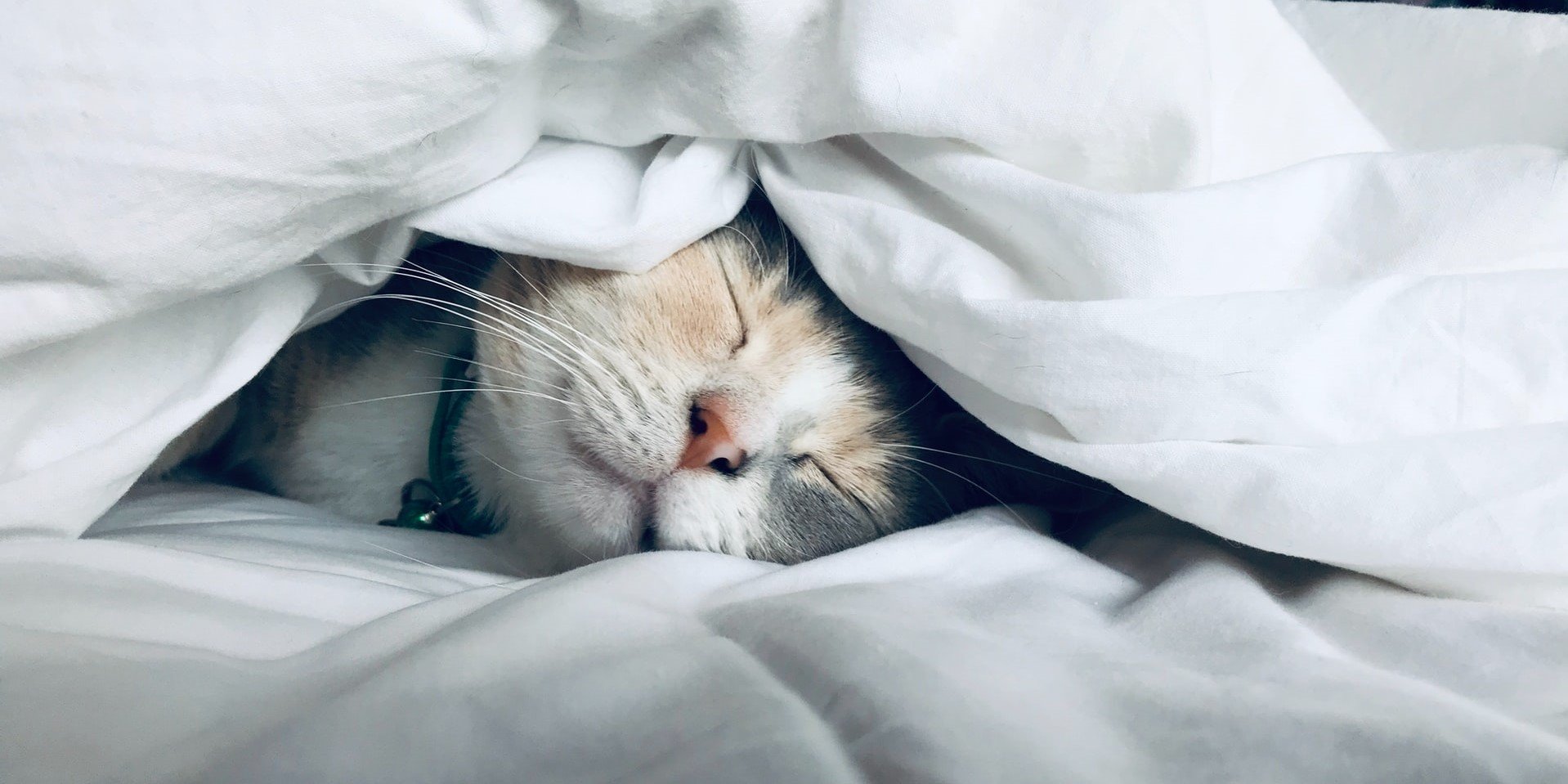 UK Sleep Brands - Digital Marketing Benchmark Report, Q2 2022 - Published Today