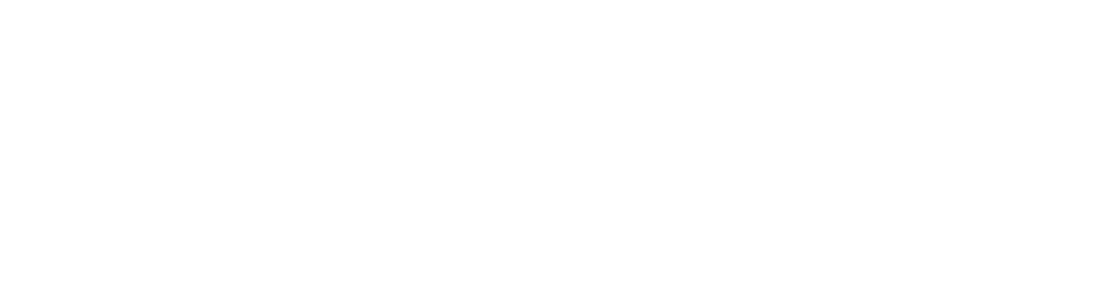 Facebook-Logo White-1