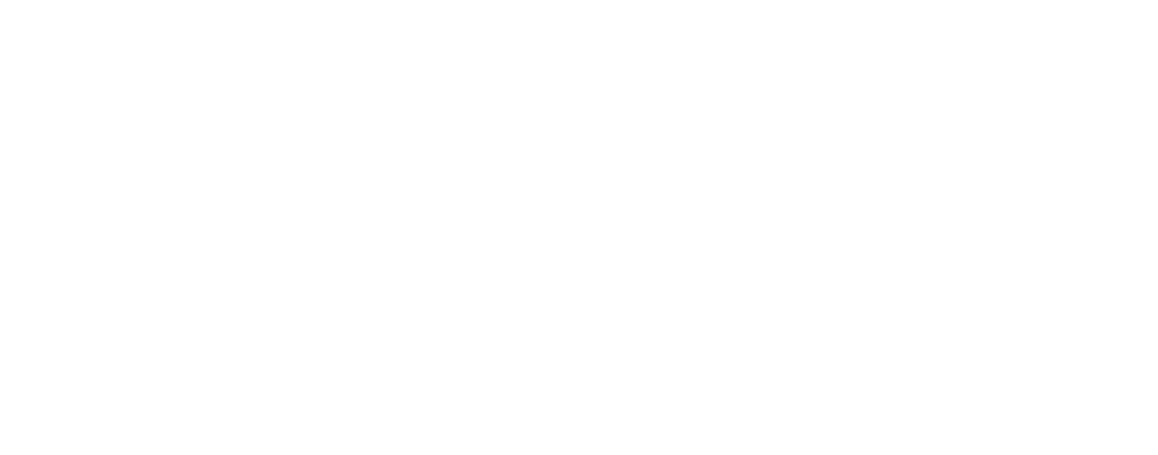 VWO-Logo-White-1