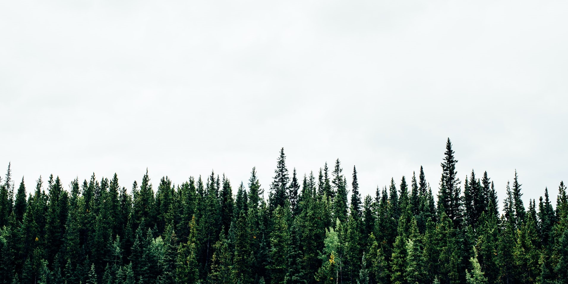 How to make your seasonal PR campaigns evergreen